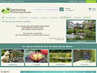 Plantes d'eau et de berges - Santonine - Plantes aquatiques