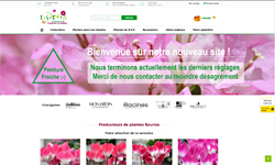 Tijardin producteur de plantes fleuries méditerranéennes